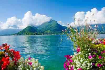 © Simon Dannhauer - stock.adobe.com Seeblick und Sommerblumen